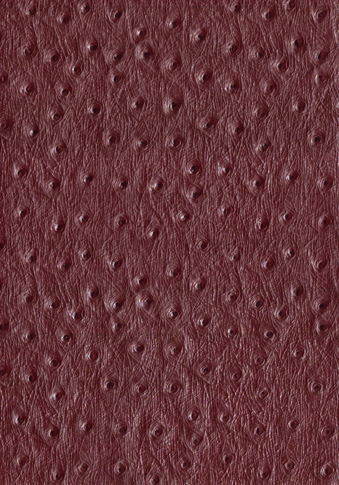 Productafbeelding 4