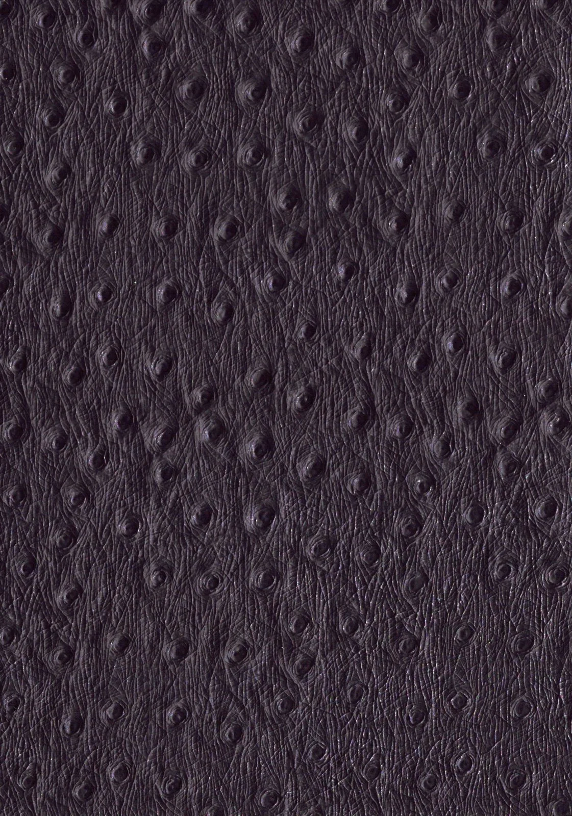 Productafbeelding 6
